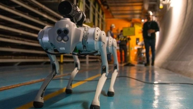 CERN’deki zorlu koşullara uyum sağlayacak ‘robot köpek’