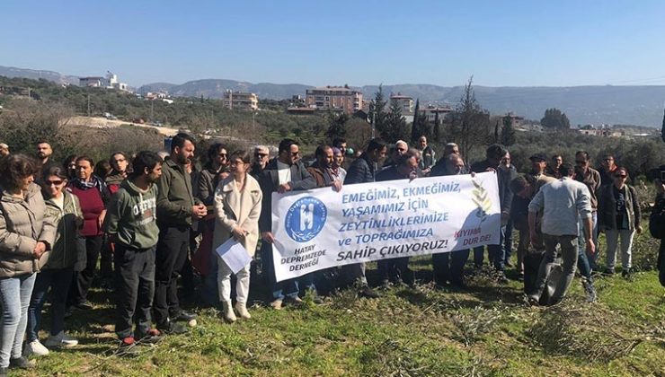 Hatay’da kamulaştırma kararları protesto edildi: ‘Hatay zeytinsiz olmaz’