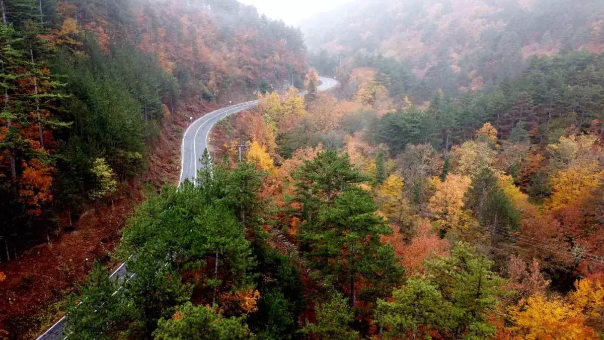 Kazdağları’nda Sonbahar Görsel Şöleni