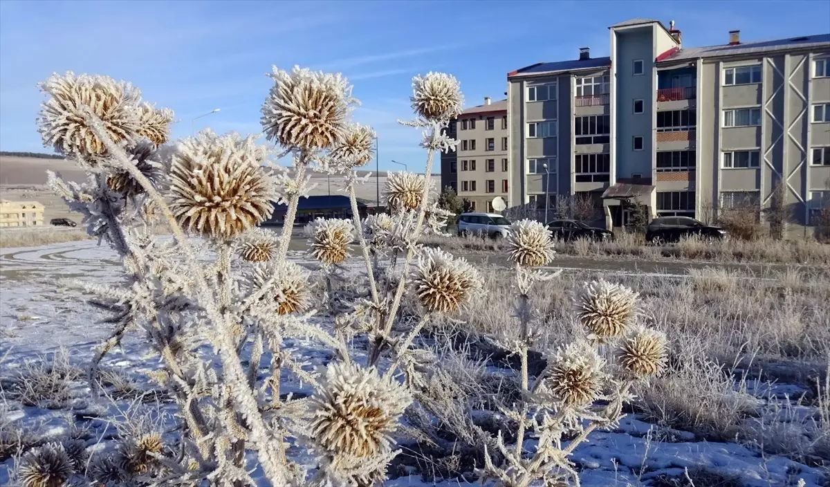 Erzurum, Kars ile Ardahan’da yoğun sis ve kırağı etkili oldu